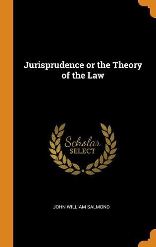 Cover image for Jurisprudence or the Theory of the Law