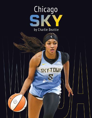 Cover image for Chicago Sky