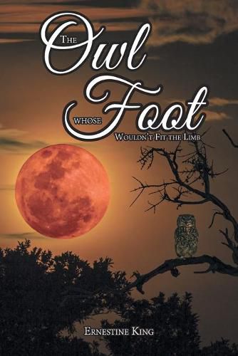 Cover image for The Owl Whose Foot Wouldn't Fit the Limb