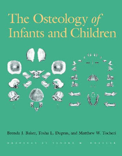 The Osteology of Infants and Children