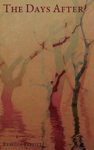 Cover image for The Days After