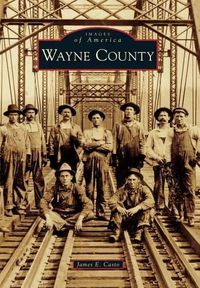 Cover image for Wayne County