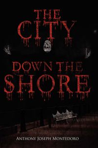 Cover image for The City Down the Shore