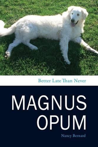 Cover image for Magnus Opum: Better Late Than Never