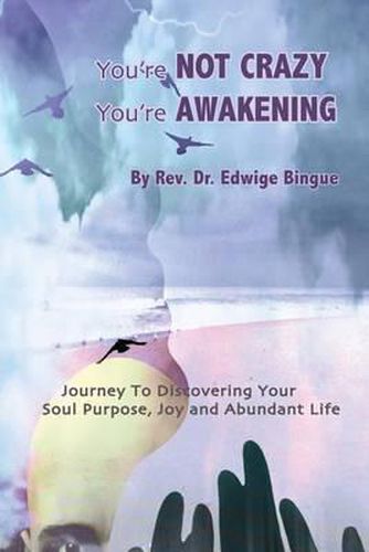 Cover image for You're Not Crazy, You're Awakening: Journey To Discovering Your Soul Purpose, Joy And Abundant Life