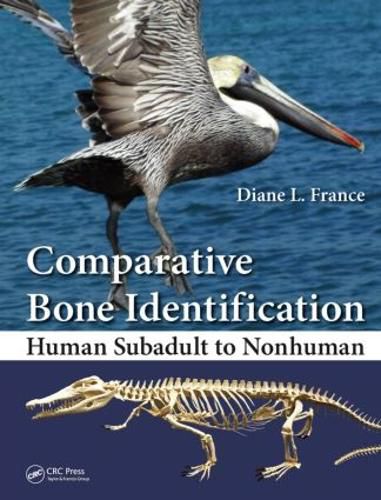 Cover image for Comparative Bone Identification: Human Subadult to Nonhuman