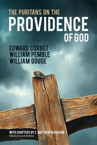 Cover image for The Puritans on the Providence of God