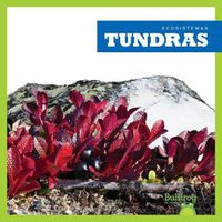 Cover image for Tundras (Tundras)