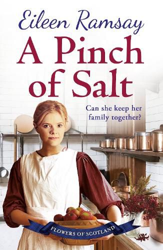 Cover image for A Pinch of Salt: Escape to the Highlands with a story of love, loss and family this Christmas