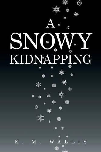 Cover image for A Snowy Kidnapping