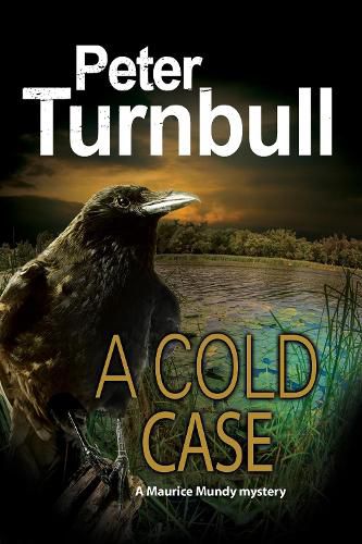 Cover image for A Cold Case