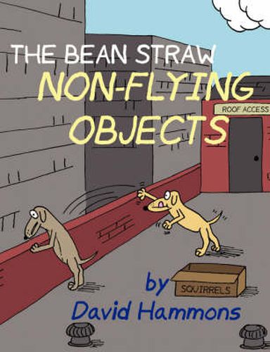 Cover image for The Bean Straw: Non-Flying Objects