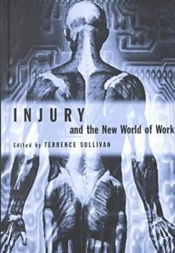 Cover image for Injury and the New World of Work