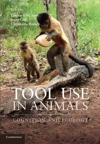 Cover image for Tool Use in Animals: Cognition and Ecology