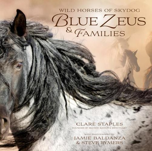 Cover image for Wild Horses of Skydog