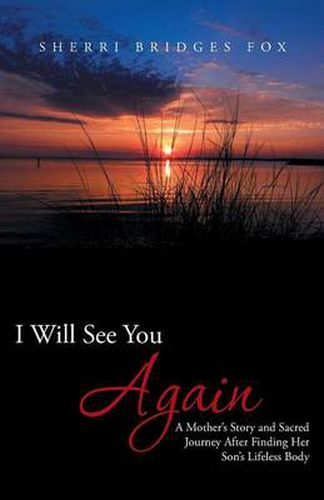 Cover image for I Will See You Again: A Mother's Story and Sacred Journey After Finding Her Son's Lifeless Body