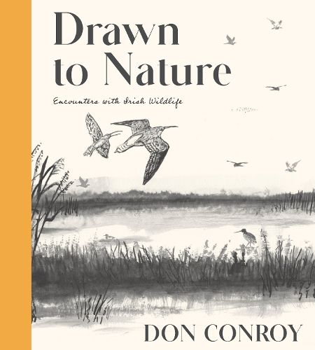 Cover image for Drawn to Nature