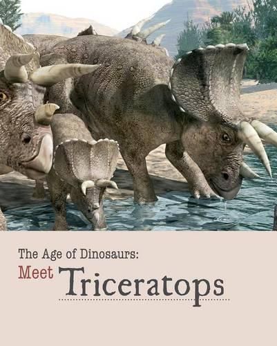 Cover image for Meet Triceratops