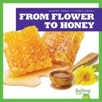 Cover image for From Flower to Honey