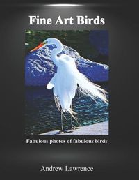 Cover image for Fine Art Birds: Fabulous photos of fabulous birds