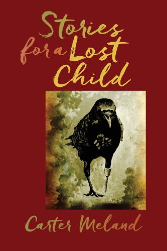 Cover image for Stories for a Lost Child