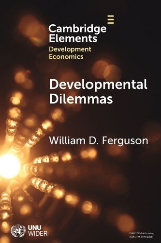 Cover image for Developmental Dilemmas