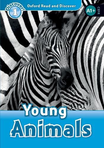 Cover image for Oxford Read and Discover: Level 1: Young Animals Audio Pack
