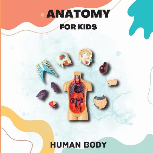 Cover image for Human Body Anatomy for Kids