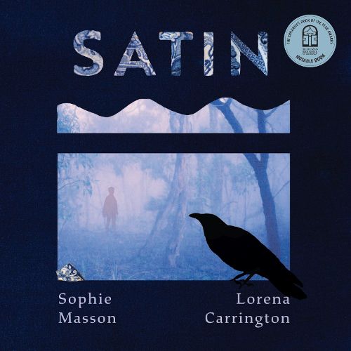 Cover image for Satin