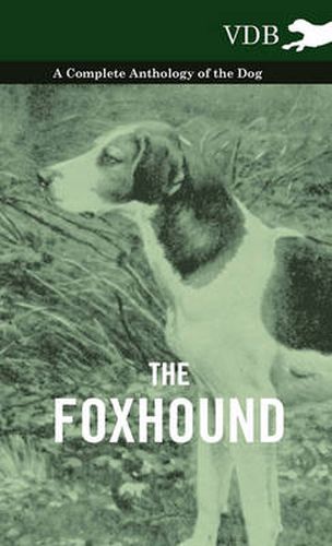 Cover image for The Foxhound - A Complete Anthology of the Dog