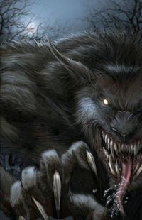 Cover image for Grimm Fairy Tales Presents: Vampires and Werewolves