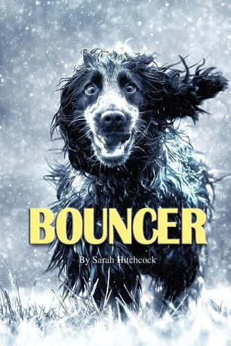 Cover image for Bouncer