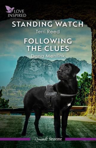 Cover image for Standing Watch/Following The Clues