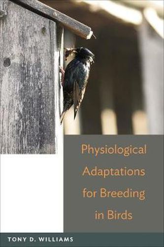 Cover image for Physiological Adaptations for Breeding in Birds