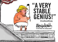 Cover image for A Very Stable Genius