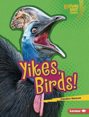 Cover image for Yikes, Birds!