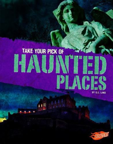 Cover image for Take Your Pick of Haunted Places