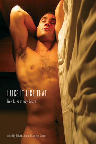 I Like It Like That: True Stories of Gay Male Desire