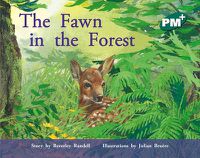 Cover image for The Fawn in the Forest