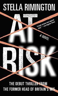Cover image for At Risk: A Novel
