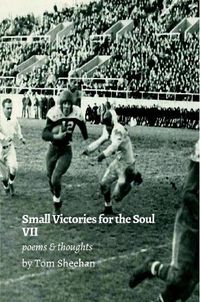 Cover image for Small Victories for the Soul VII