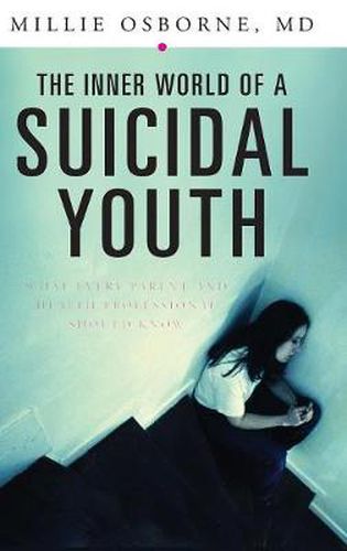 Cover image for The Inner World of a Suicidal Youth: What Every Parent and Health Professional Should Know