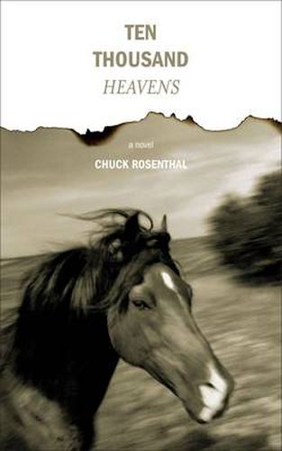 Cover image for Ten Thousand Heavens