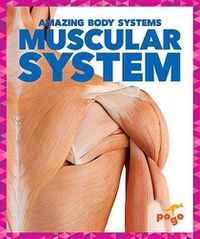 Cover image for Muscular System