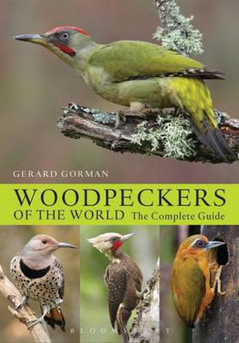 Cover image for Woodpeckers of the World: The Complete Guide