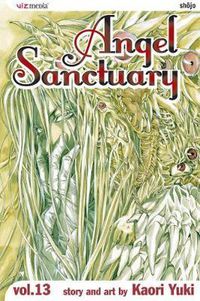 Cover image for Angel Sanctuary, Vol. 13