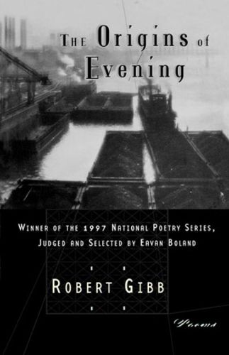 Cover image for The Origins of Evening: Poems