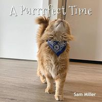 Cover image for A Purrrfect Time