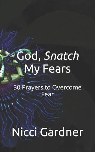 Cover image for God, Snatch My Fears: 30 Prayers to Overcome Fear