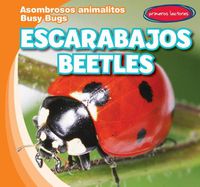 Cover image for Escarabajos / Beetles